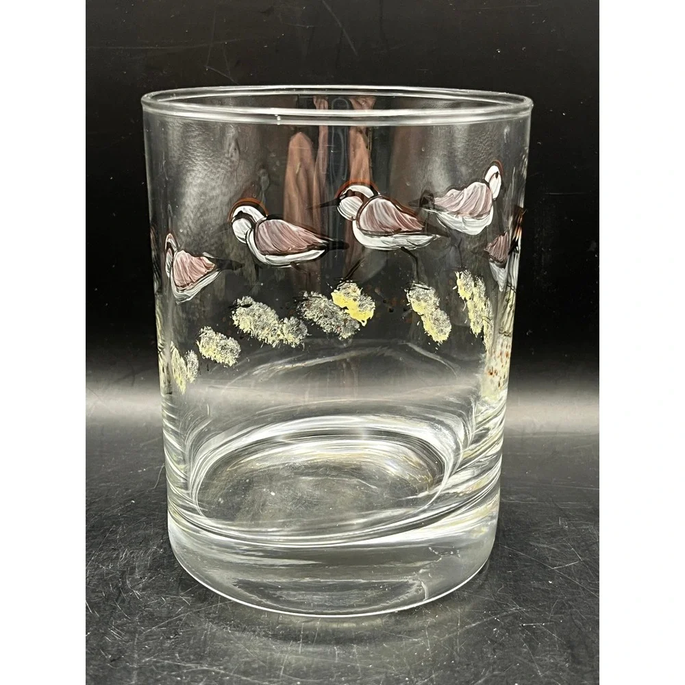 Hand Painted Glass Tumbler 12oz Lowball Shorebird Red-Capped‎ Plover Beach Coast